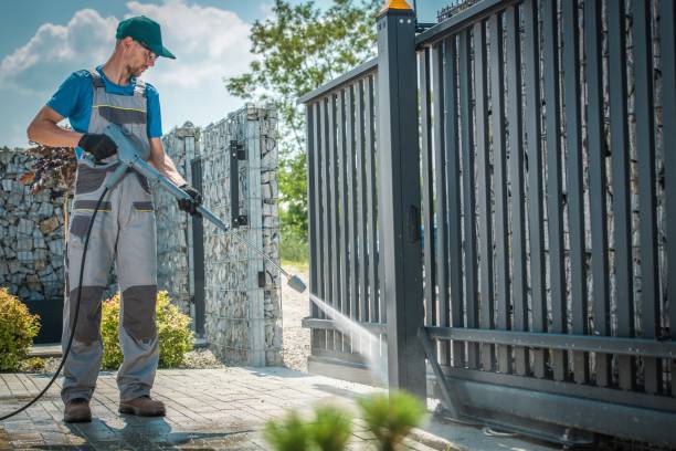 Best Roof Washing  in Lyford, TX