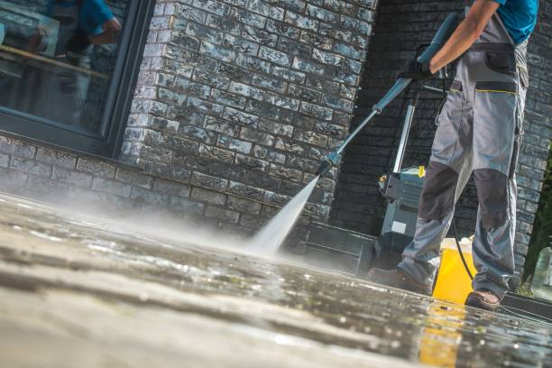 Best Patio and Deck Pressure Washing  in Lyford, TX