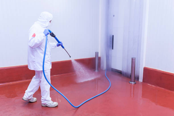 Best Post-Construction Pressure Washing  in Lyford, TX