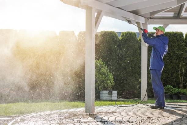 Best Soft Washing  in Lyford, TX