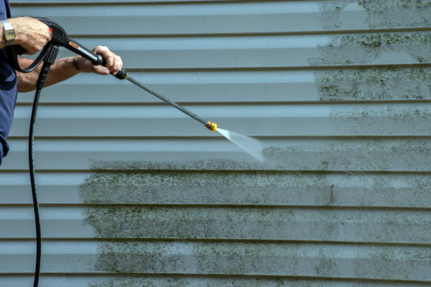 Best Building Exterior Washing  in Lyford, TX